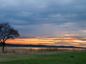 00050_Grimnitzsee_Tilo Geisel.jpg